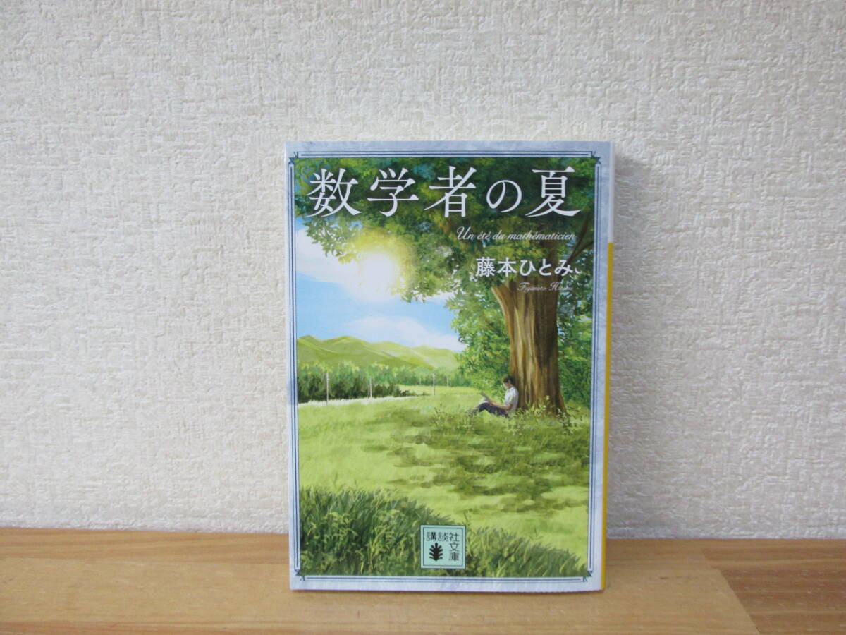 数学者の夏　藤本ひとみ　講談社文庫_画像1