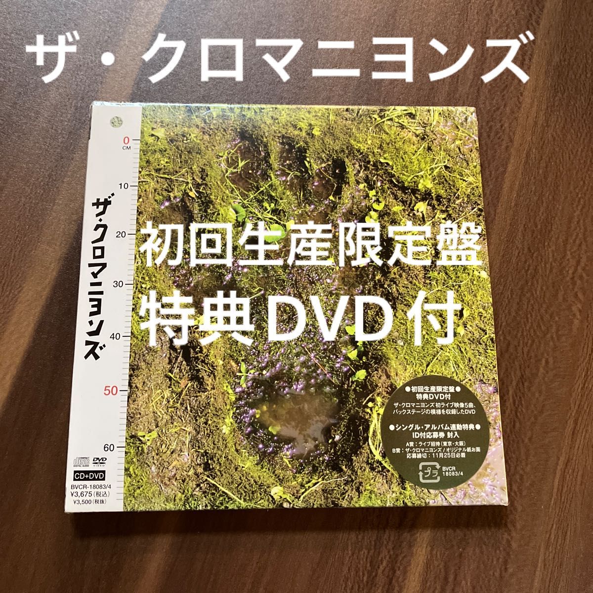   ザクロマニヨンズ CD  初回限定盤　特典DVD付　新品未開封