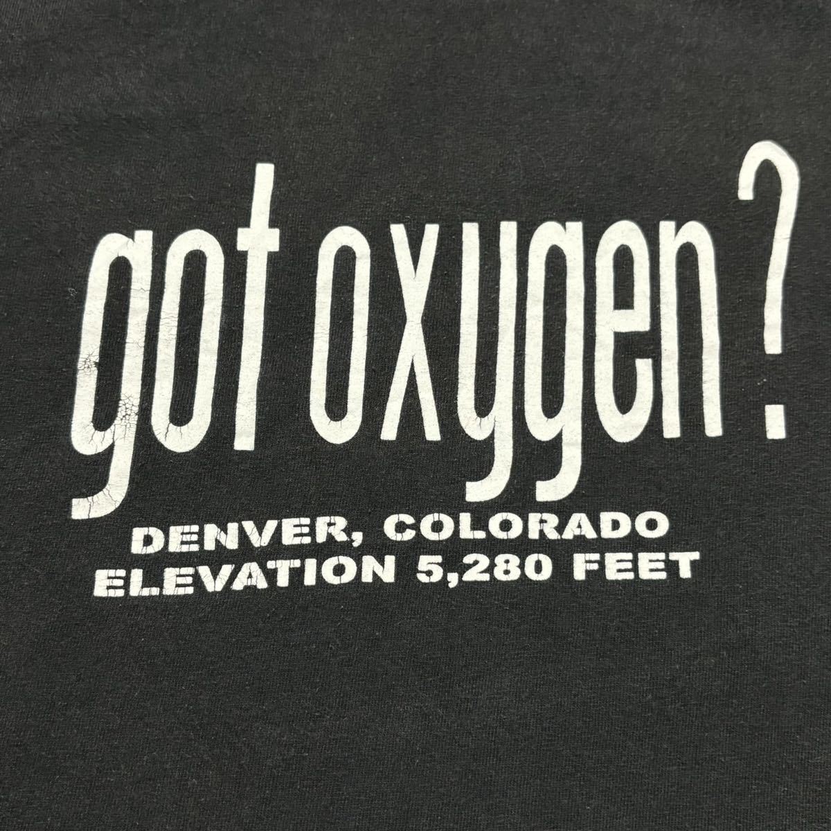 00s 最高な1枚 got oxygen パロディ　tシャツ ALSTYLE got milk_画像1