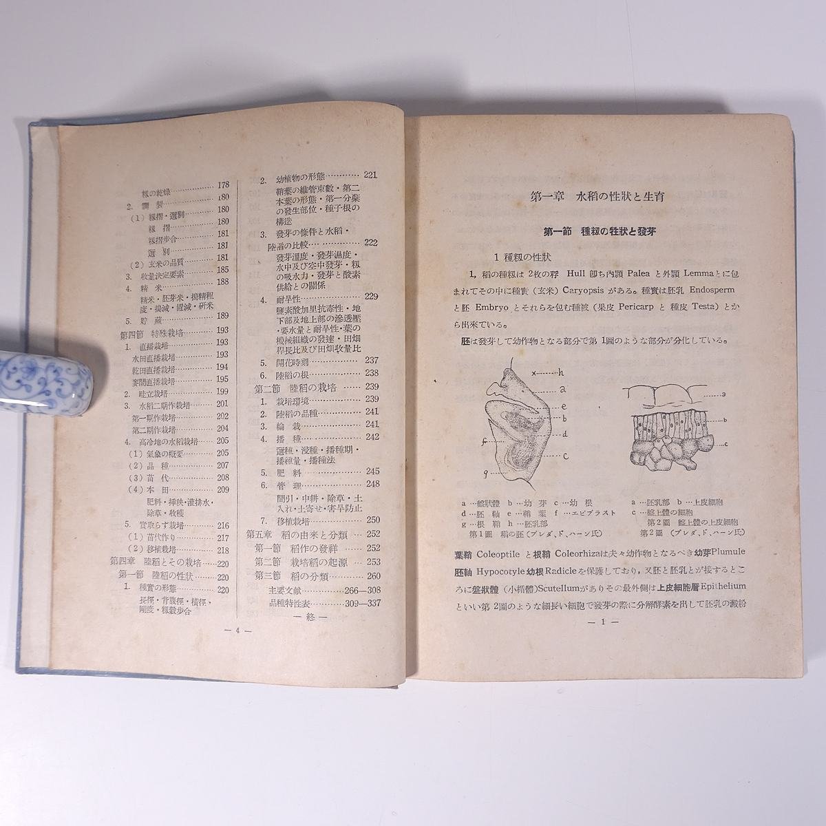 ... work length door one male . writing company Showa era two . year 1950 old book separate volume .book@ agriculture agriculture agriculture house rice work rice kome. work .ine