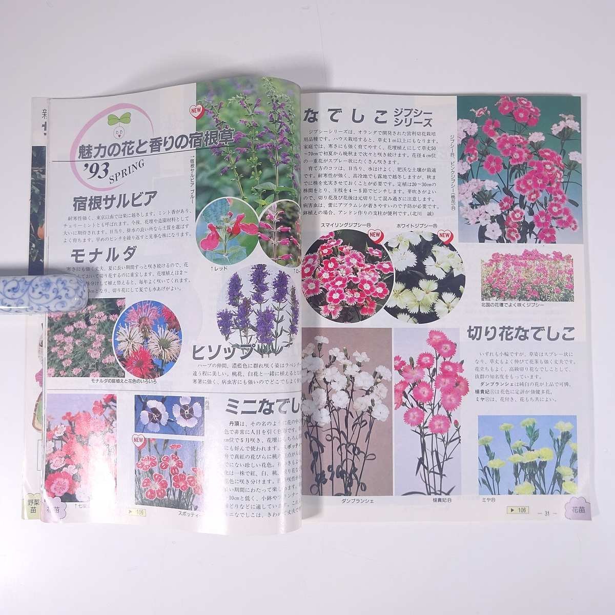  gardening communication spring. family gardening 1993 year ( Heisei era 5 year ) special increase . number corporation sakata. tane1992 large book@ gardening gardening plant 