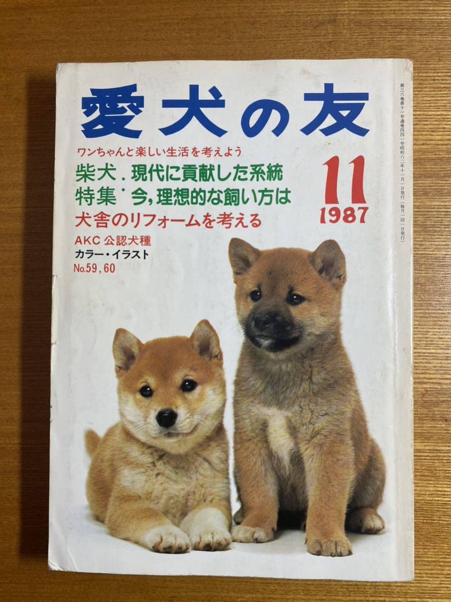 愛犬の友　1987年11月号 柴犬特集_画像1