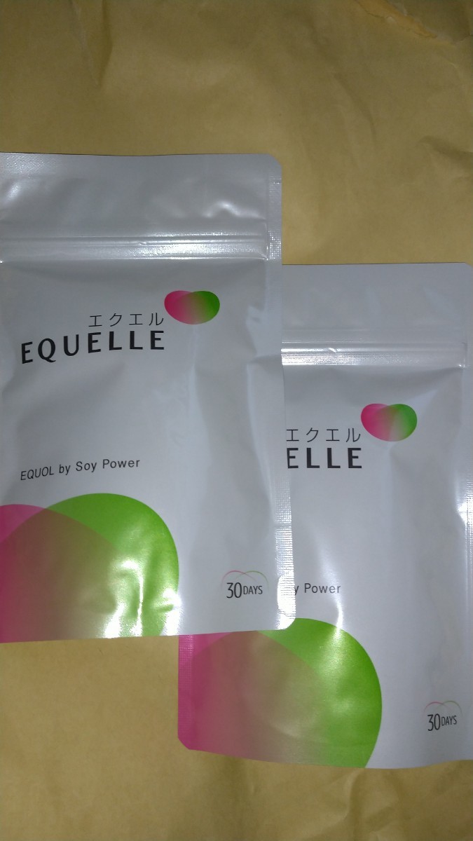 2袋×120粒 大塚製薬 エクエル パウチタイプ エクオール EQUELLEの画像1