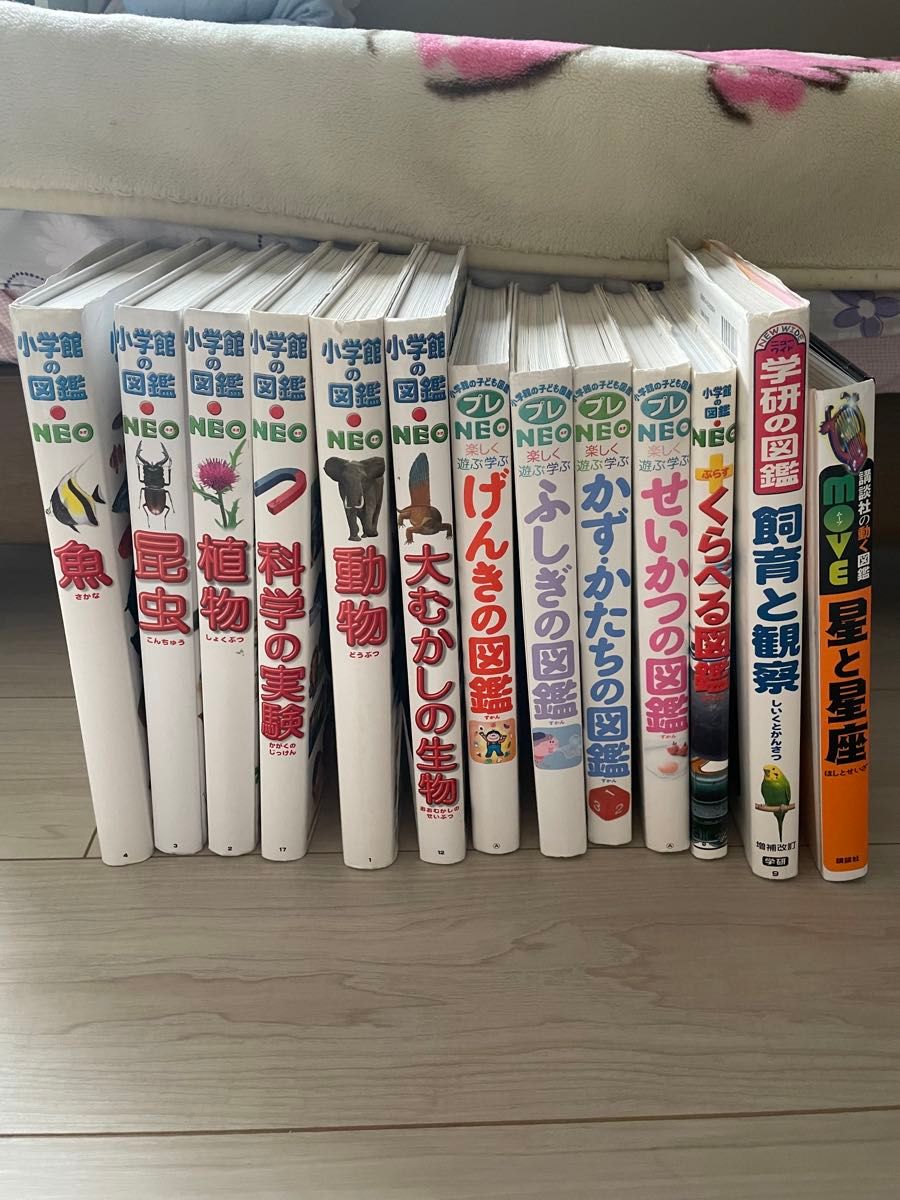 小学館の図鑑NEO 13冊セット|Yahoo!フリマ(旧PayPayフリマ) 小学館の図鑑NEO 13冊セット|Yahoo!フリマ(旧PayPayフリマ)