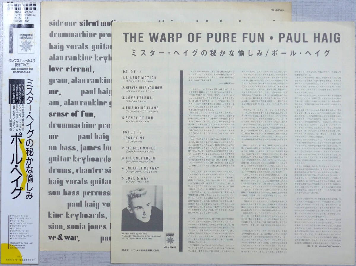 ◆PAUL HAIG/THE WARP OF PURE FUN (JPN LP Promo) -Alan Rankine, Blaine L. Reininger, Bernard Sumner/New Order, Crepuscule_画像3