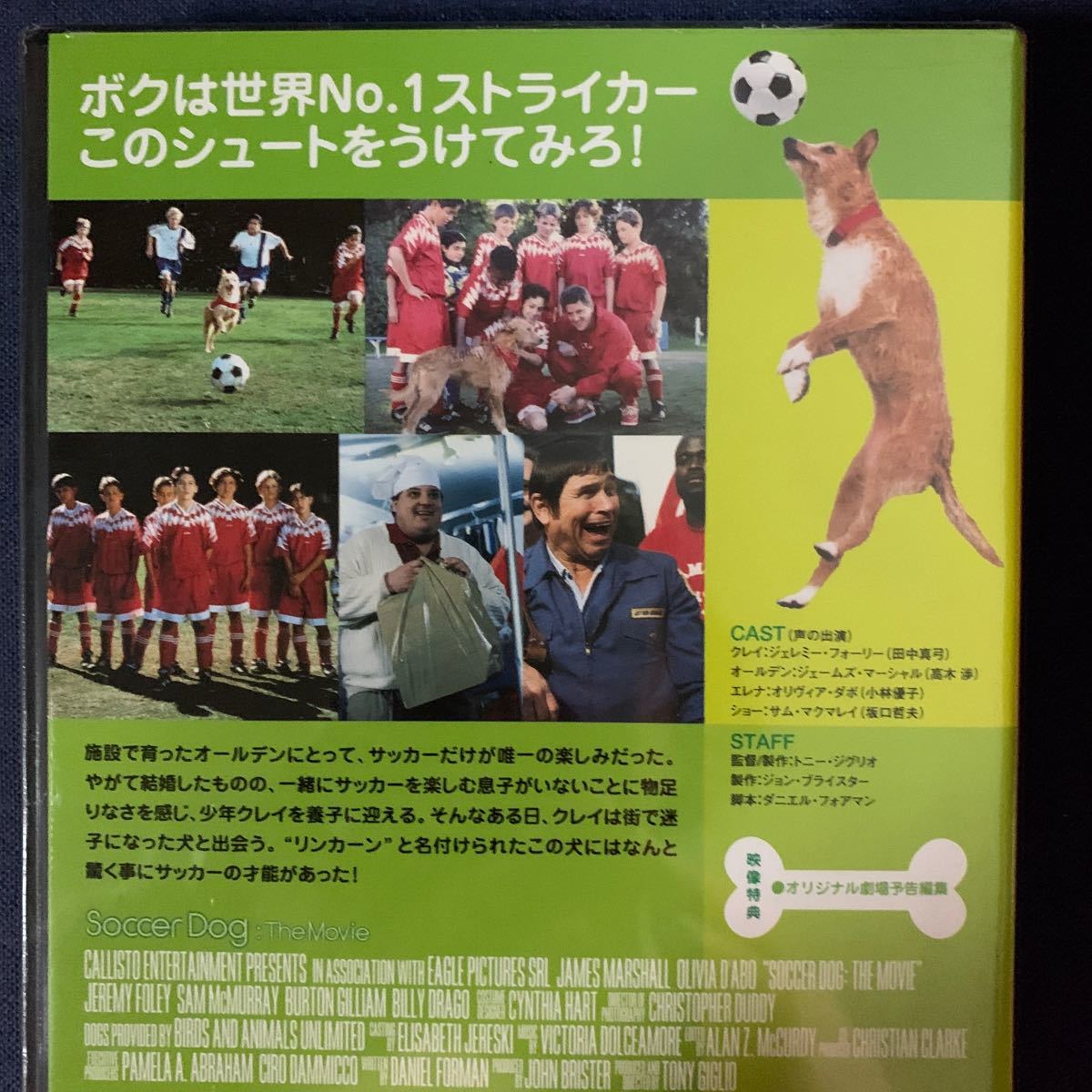 【未開封】セル・DVD『サッカー・ドッグ』期間限定　ジェレミー・フォーリー　ジェームズ・マーシャル　オリヴィア・ダホ_画像3