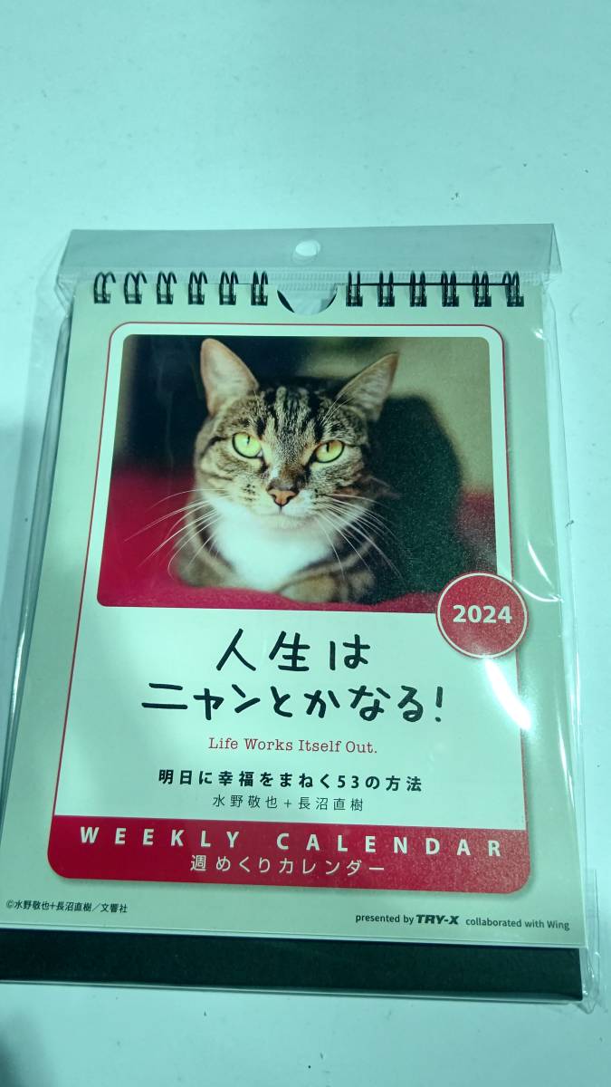 人生はニャンとかなる！2024年カレンダー_人生はニャンとかなる！2024年カレンダー