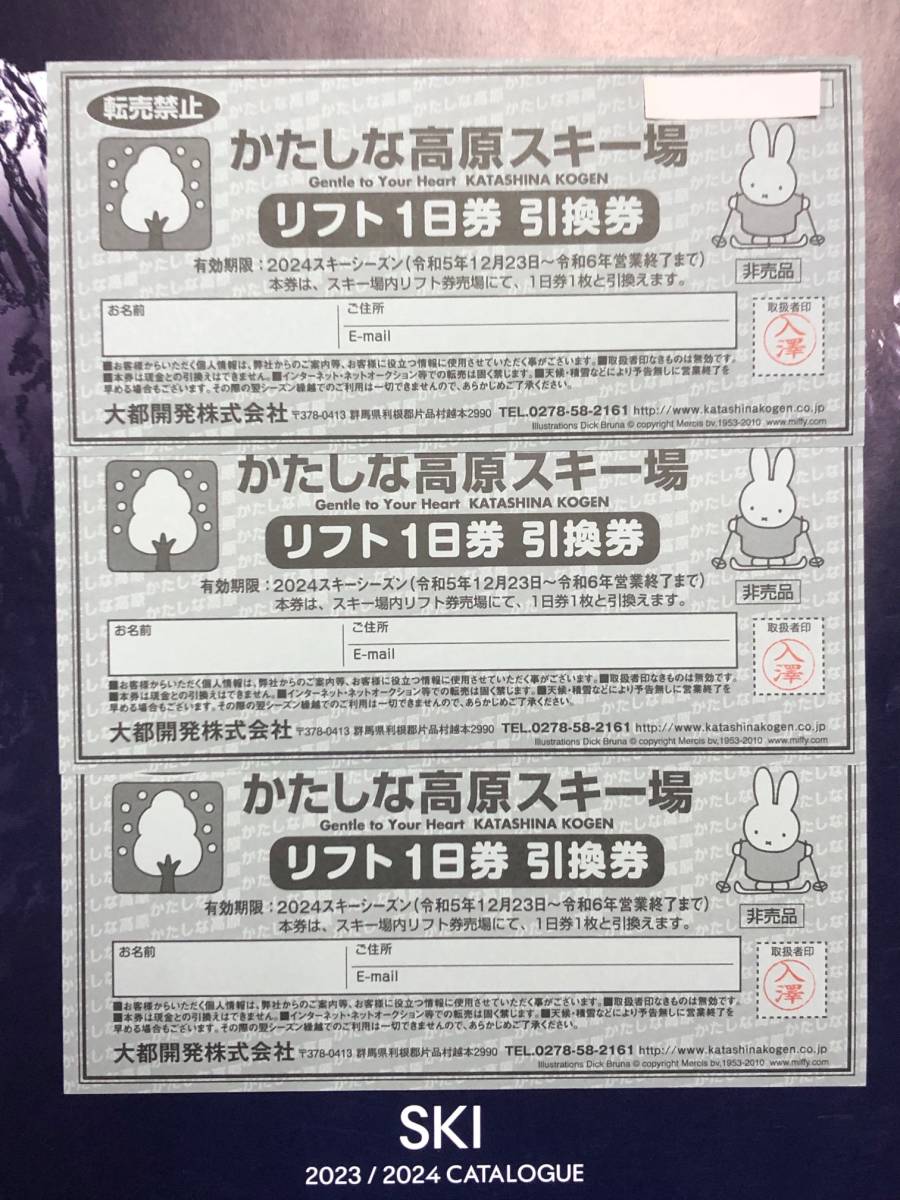 かたしな高原スキー場リフト1日券 引換券３枚 有効期限２０２４シーズン営業終了まで_画像1