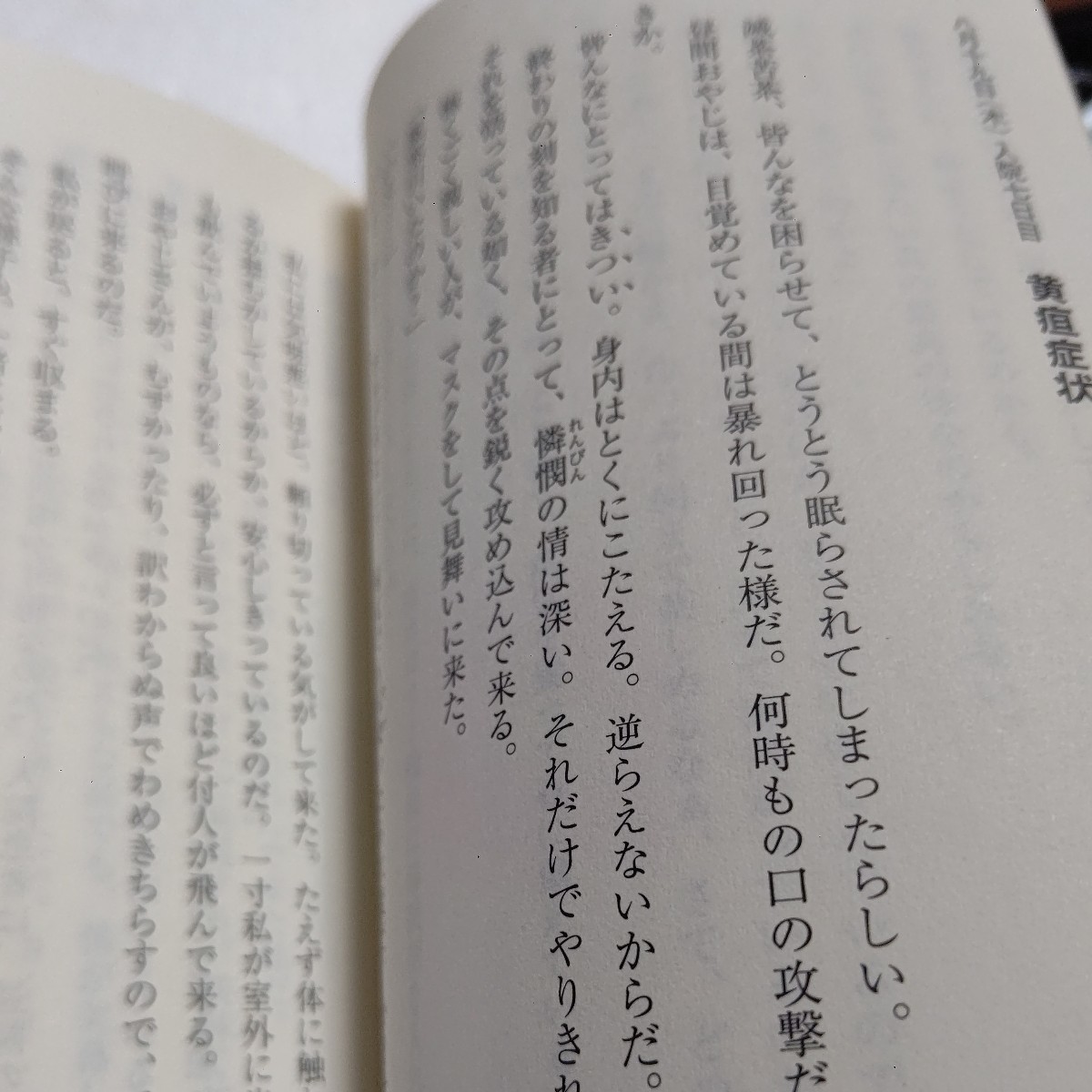 新品　病室の「シャボン玉ホリデー」ハナ肇と過ごした最期の２９日間　なべおさみ　ザ・ピーナッツ　布施明　クレージーキャッツほか多数_画像9