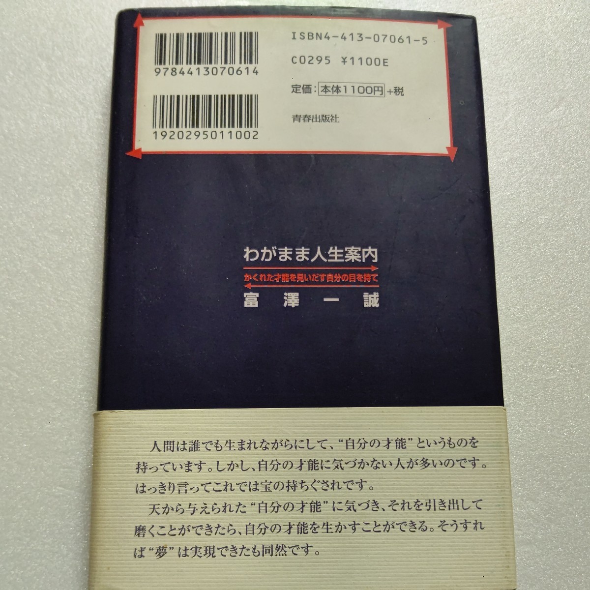 美品 わがまま人生案内 かくれた才能を見いだす自分の目を持て 富沢一誠 まだ気づいてない自分の才能に気づかせ引き出し生かすアドバイス集