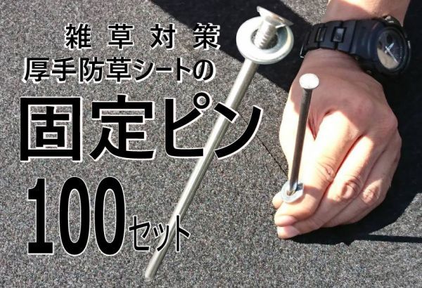 送料無料（標準釘タイプ100本セット　ワッシャー付)固定ピン 雑草防止 除草 厚手 留め具 防草シート用 施工 ロングピン_画像2