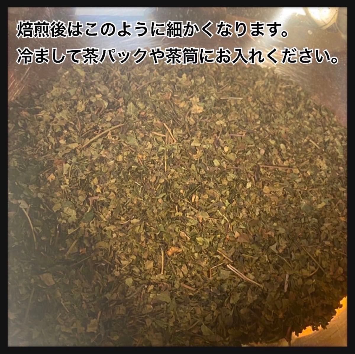 【天然素材】馬ぶどう茶葉(素材) お試し100g 天然茶葉 馬葡萄　ブスの実