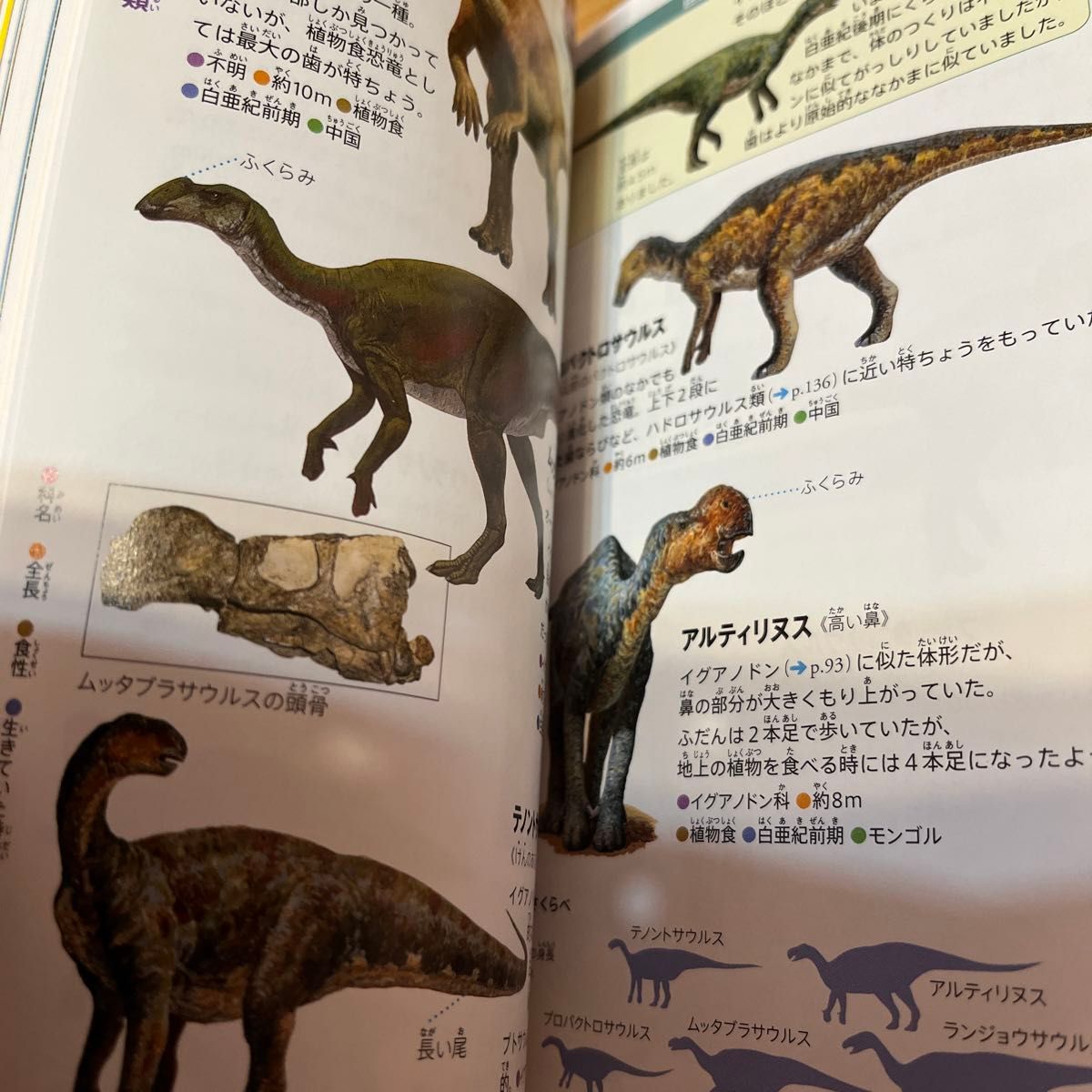 恐竜 小学館の図鑑NEOポケット 小学館の図鑑 児童書