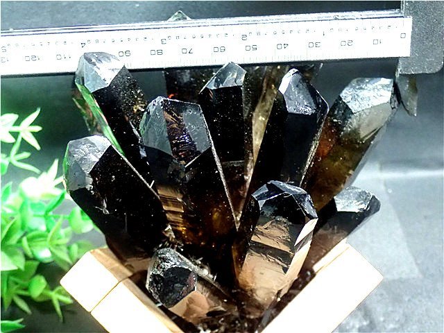 AAA級【魔除け】◆天然モリオン(黒水晶）178C6-129C30Z_画像5