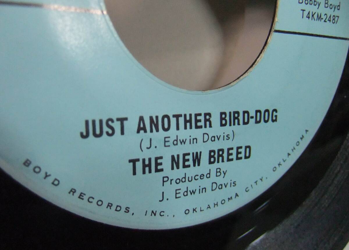 The New Breed / Just another bird-dog b/w You'll be there / '66US Boyd Records.Inc. / Jesse Ed Davis's first band / Jesse Davis_画像3