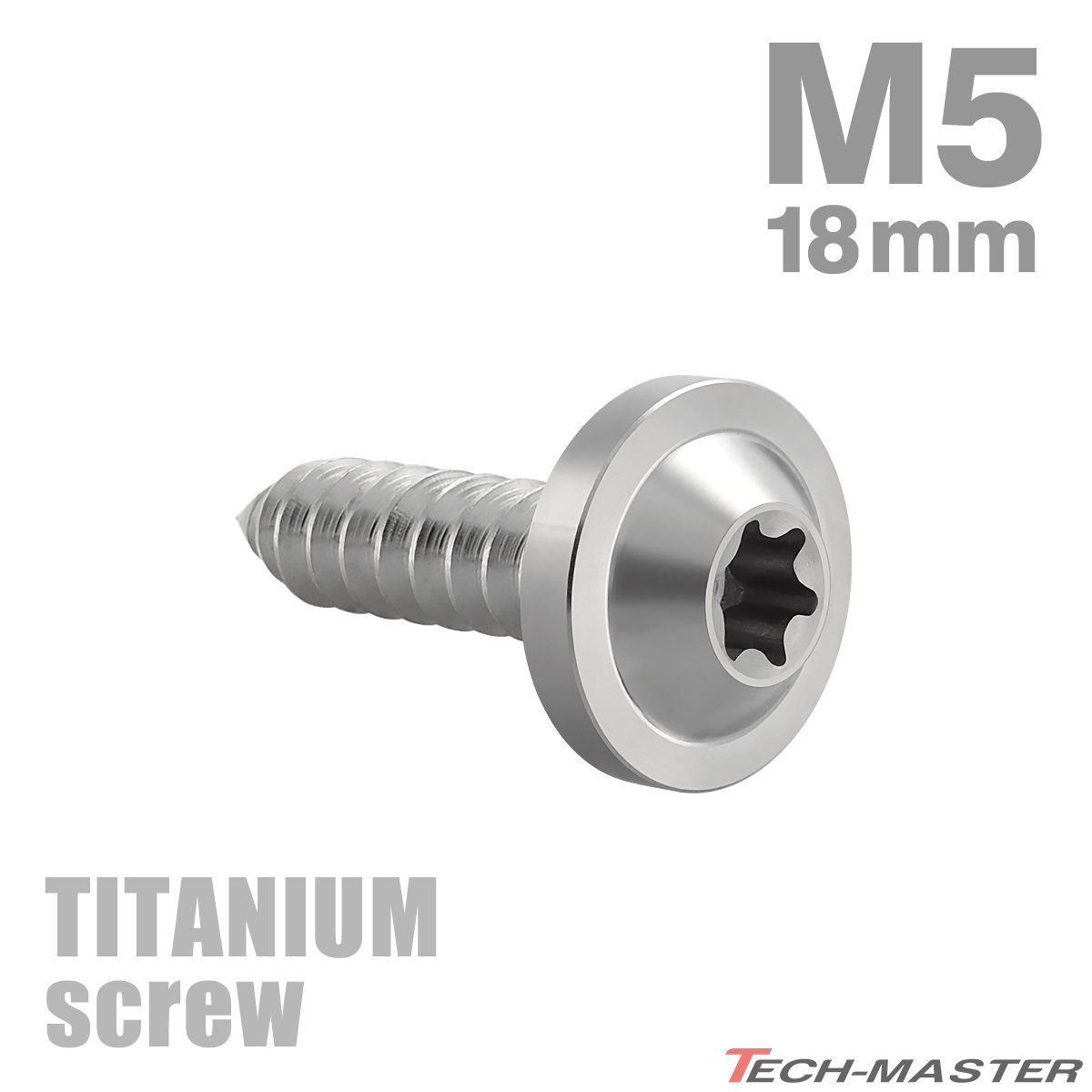 M5×18mm 64チタン合金 タッピングネジ トルクス穴付き シルバーカラー 1個 JA1260_画像1
