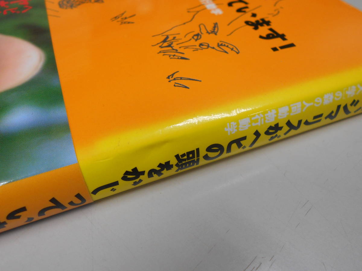 [ Tottori окружающая среда университет ]. лес. человек животное line перемещение .11 шт. комплект . сырой! серии Kobayashi . дорога . земля документ павильон 