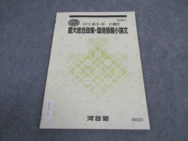 VW04-191 河合塾 慶大総合政策・環境情報小論文 慶應義塾大学 テキスト 2019 冬期講習 03s0B_画像1