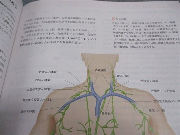 VX05-139 日本医事新報社 カラー図解 人体の正常構造と機能 全10巻縮刷版 改訂第3版 2017 41M3D_画像4