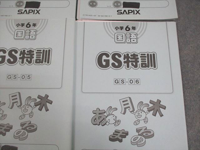 VX10-056 SAPIX 小6 国語 GS特訓 GS-01～06 2017年度版 計6冊 17S2D_画像5
