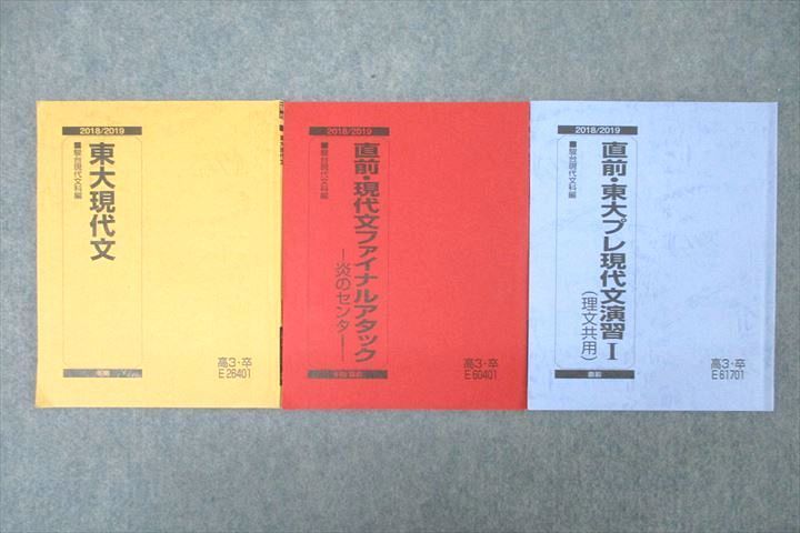 VX25-108 駿台 東京大学 東大プレ現代文演習I(理文共用)/現代文ファイナルアタック等 テキストセット 2018 冬期/直前 計3冊 18S0C_画像1