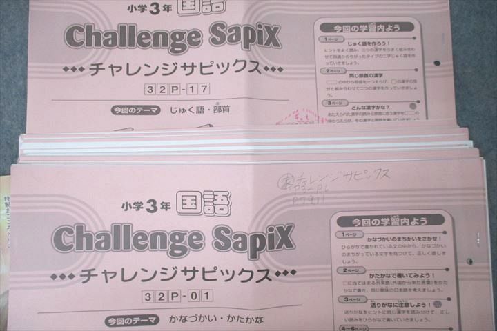 VZ25-108 SAPIX 小学3年 国語 デイリー/サマー/ウインター/チャレンジサピックス 計46回分セット 2019 00 L2D_画像3