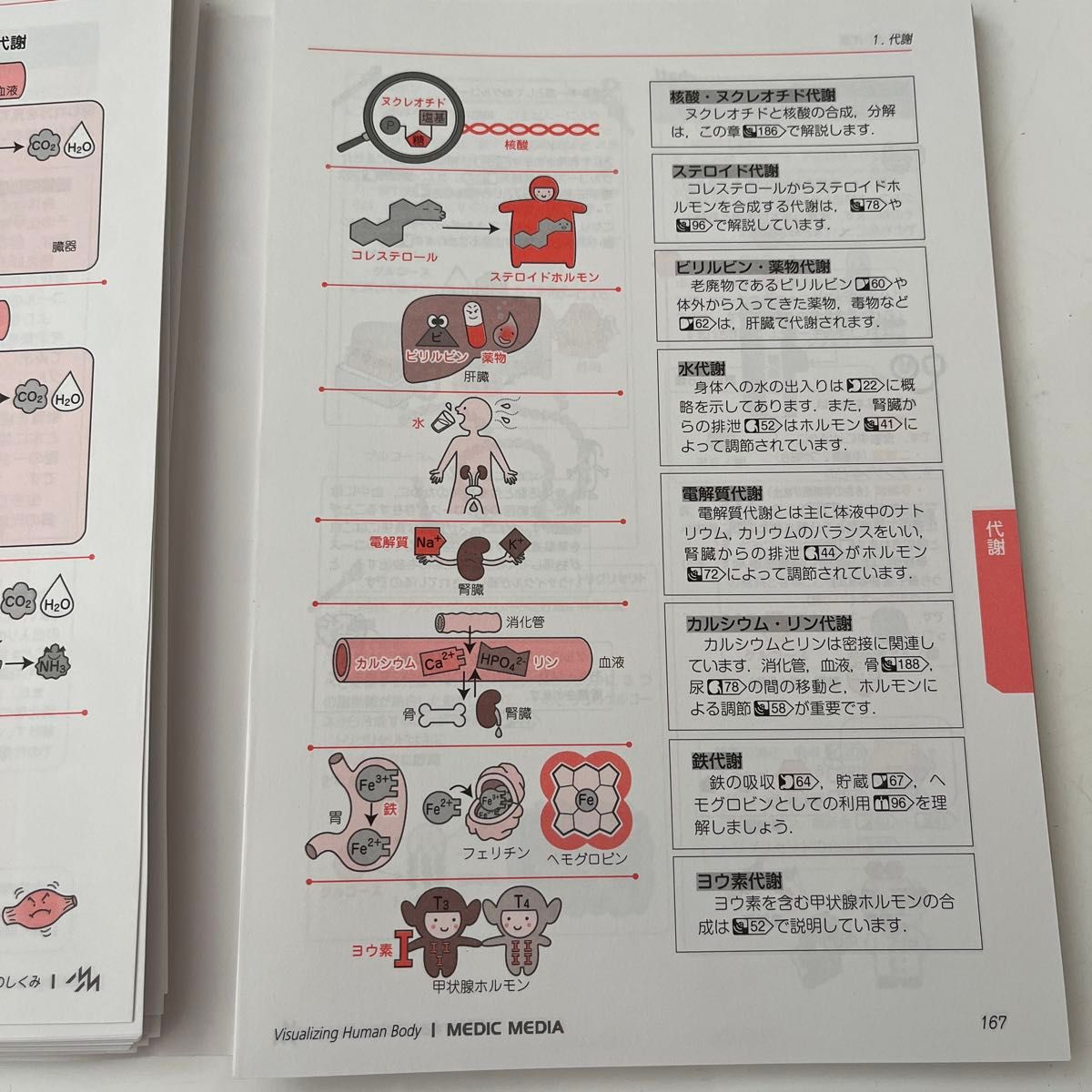 イメカラ　イメージするカラダのしくみ　内分泌・代謝 医療情報科学研究所／編集