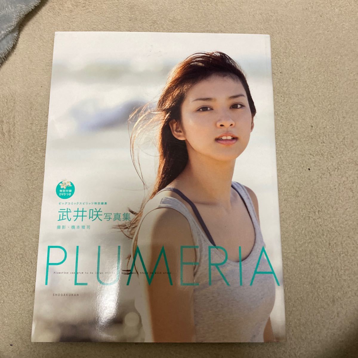 武井咲写真集 Plumeria DVD欠品 クリックポスト可能の画像1