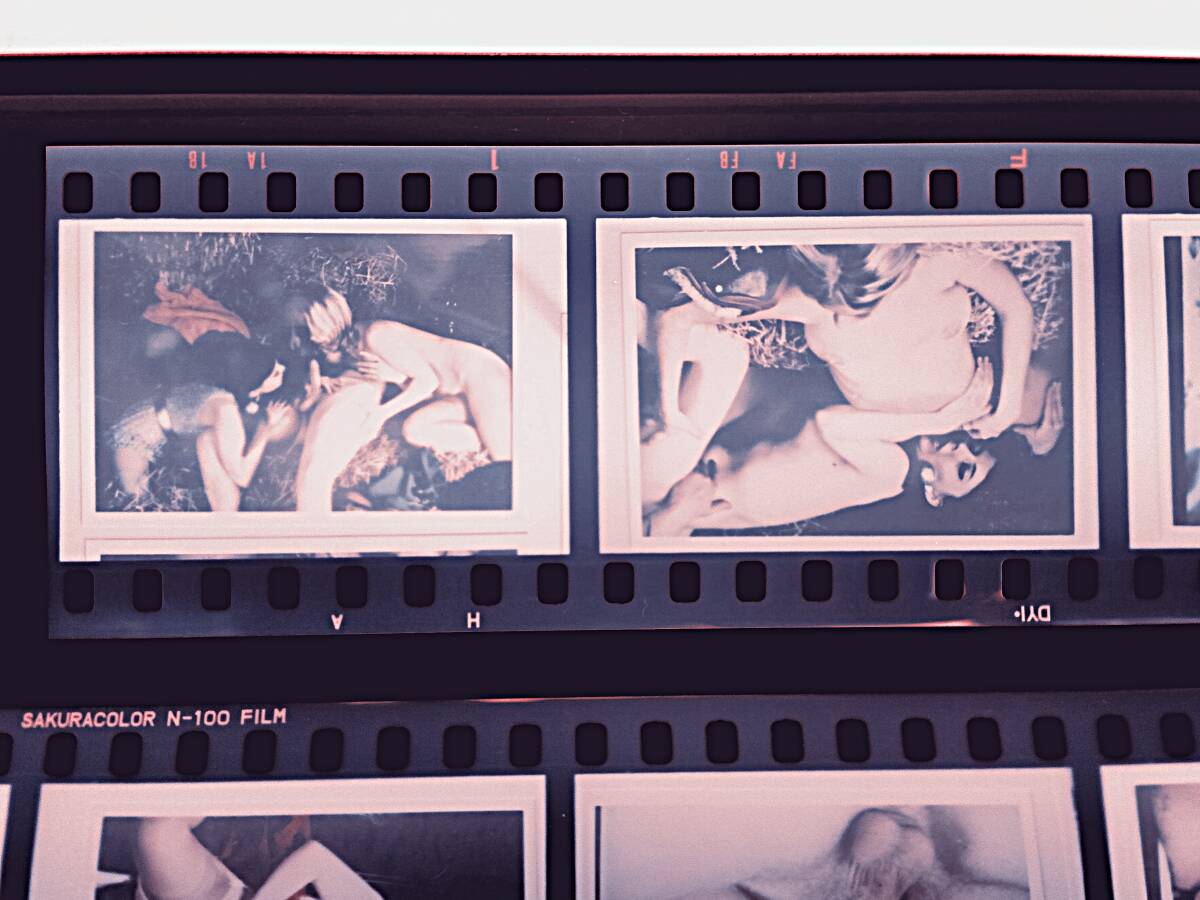【古写真/ネガ】昭和時代の撮影済みカラーネガフィルム(歴史資料いろいろまとめて)_画像2