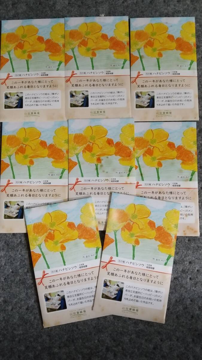 豪華花の種,ハナビシソウ8袋セットの画像1