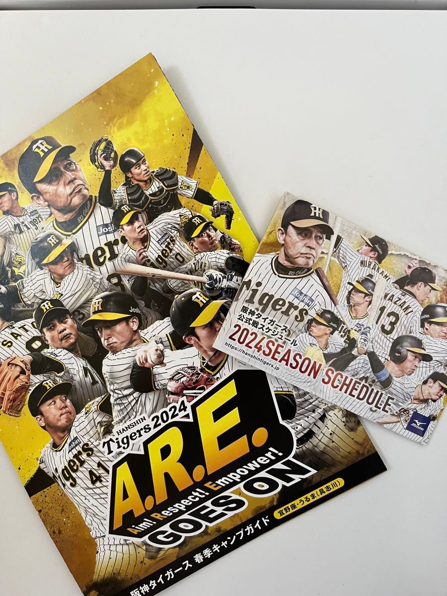 阪神タイガース 5 近本光司 沖縄キャンプ宜野座 春季キャンプ 阪神タイガース 5 近本光司 沖縄キャンプ宜野座 春季キャンプ