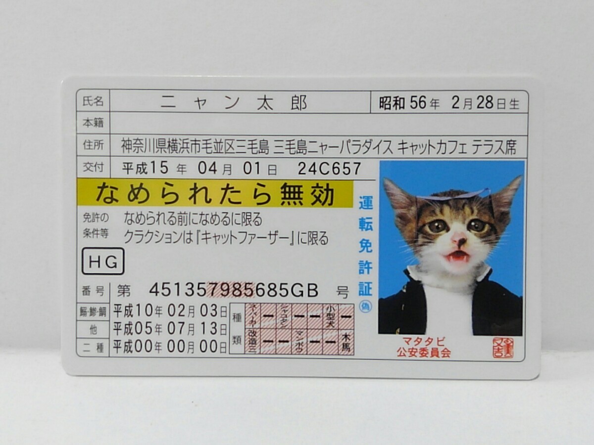 ■ ニャン太郎　ゴールド　なめねこ　なめ猫　なめんなよ　カードコレクション 猫　免許　免許証　運転免許証　マタタビ　公安委員会_画像1