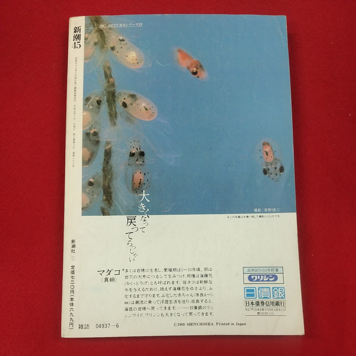 g-456※2 新潮45 1989年6月号 特集・新鮮な「時代遅れ」 平成元年6月1日発行 新潮社 オーストラリアから「憎悪」をこめて 貧しき美食家_画像2