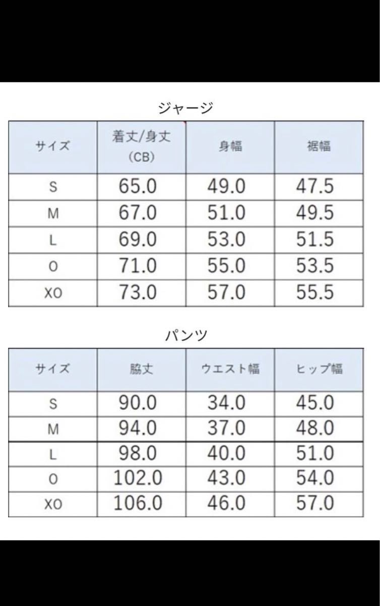 アビスパ福岡 YONEX 選手着用モデル 移動着ジャージ（上下セット）