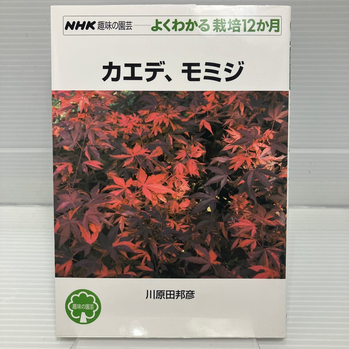  maple,momiji(NHK hobby. gardening good understand cultivation 12. month ) river . rice field ..| work KB0733