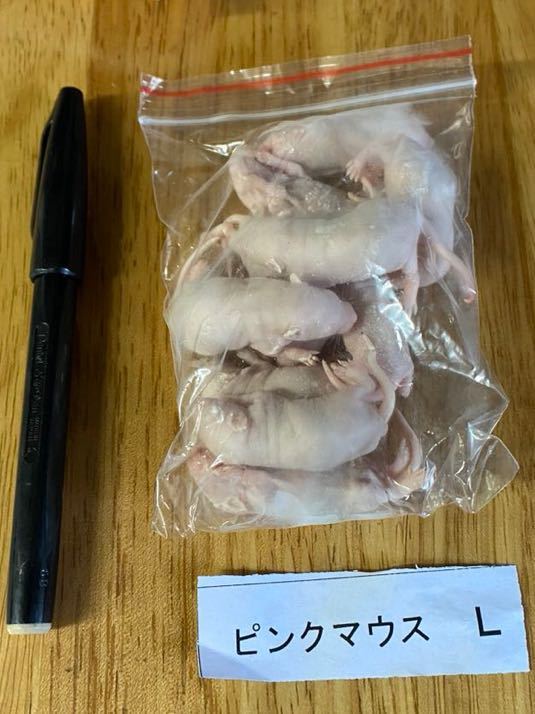 10 pcs set freezing pink mouse L 4cm rom and rear (before and after) large fish reptiles freezing .. including in a package possible 