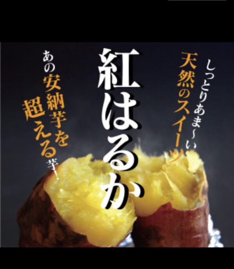 ”超熟”　紅はるか　★送料値下げ★【曲がりB等級】　糖度抜群　しっとり　上品な甘さ　うまい！安い！農家直送！限定 訳有り 5kg _画像9