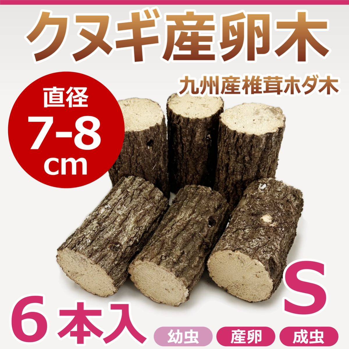 【RK】クヌギ産卵木　６本入　直径約7～8㎝　Sサイズ　九州産　椎茸　ホダ木　クワガタ産卵木に最適！！　止まり木にもおすすめ！ S17_画像1