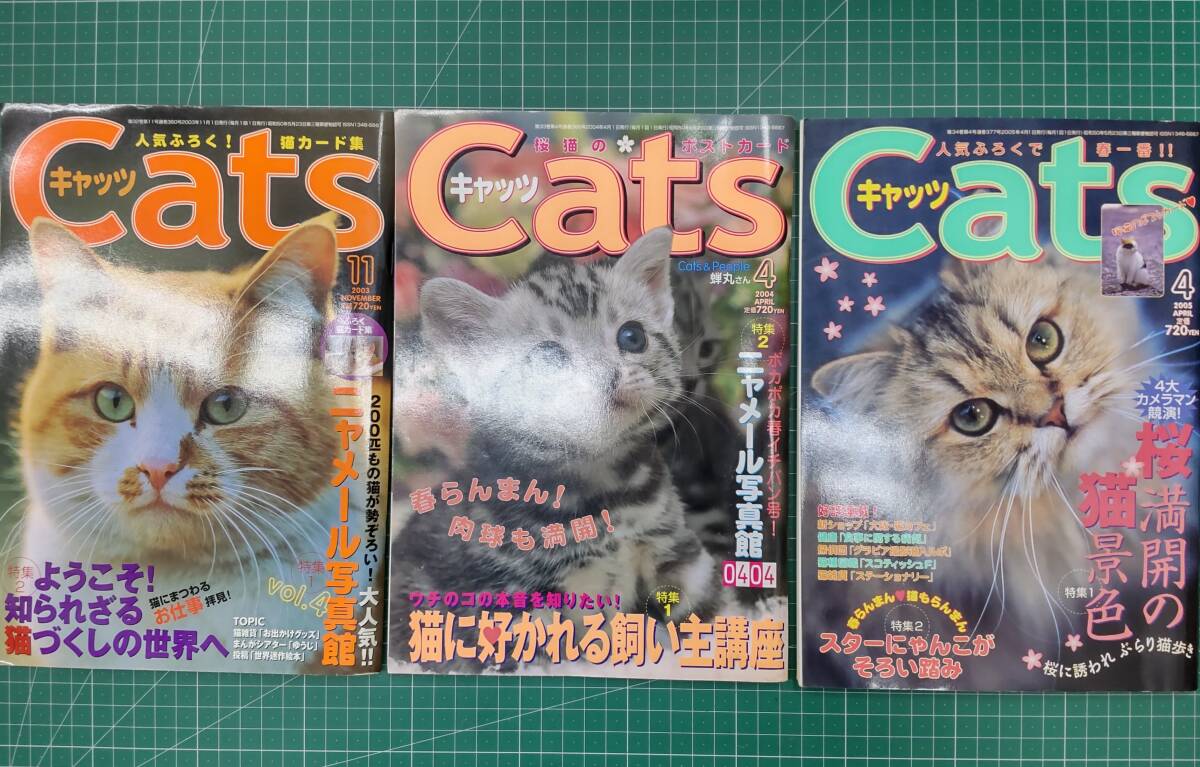 [ журнал совместно ] ежемесячный Cat's tsuCATS 1996~2005 не комплект 9 шт. комплект домашнее животное жизнь фирма зеленый книжный магазин кошка кошка ..*H3425