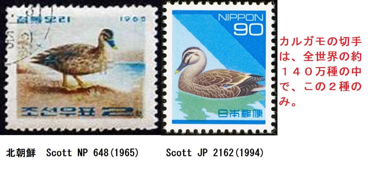 送料６３円　カルガモ　鳥類　１００枚　束　９０円切手　使用済　Eastern Spot-billed Duck　学名　Anas zonorhyncha　万葉集_画像3