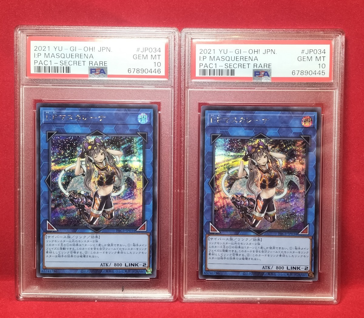 ２枚セット PSA10 鑑定 遊戯王 IPマスカレーナ シークレットレア