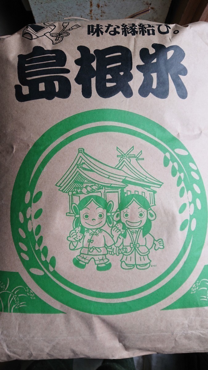 ◆令和５年産◆　きぬむすめ　１等精米２０kg　_画像2