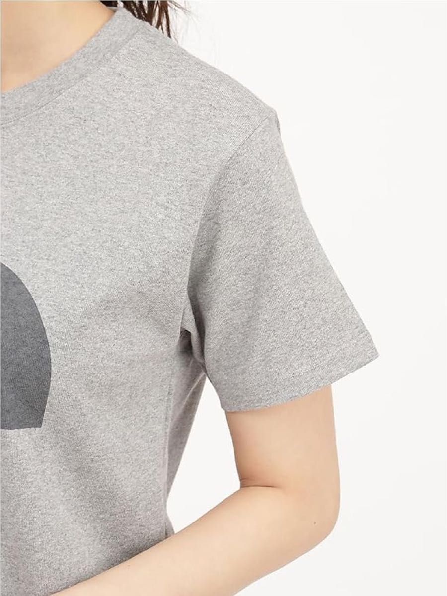 THE NORTH FACE ザノースフェイス 半袖Tシャツ ショートスリーブビッグロゴティー NTW32356 レディースL新品