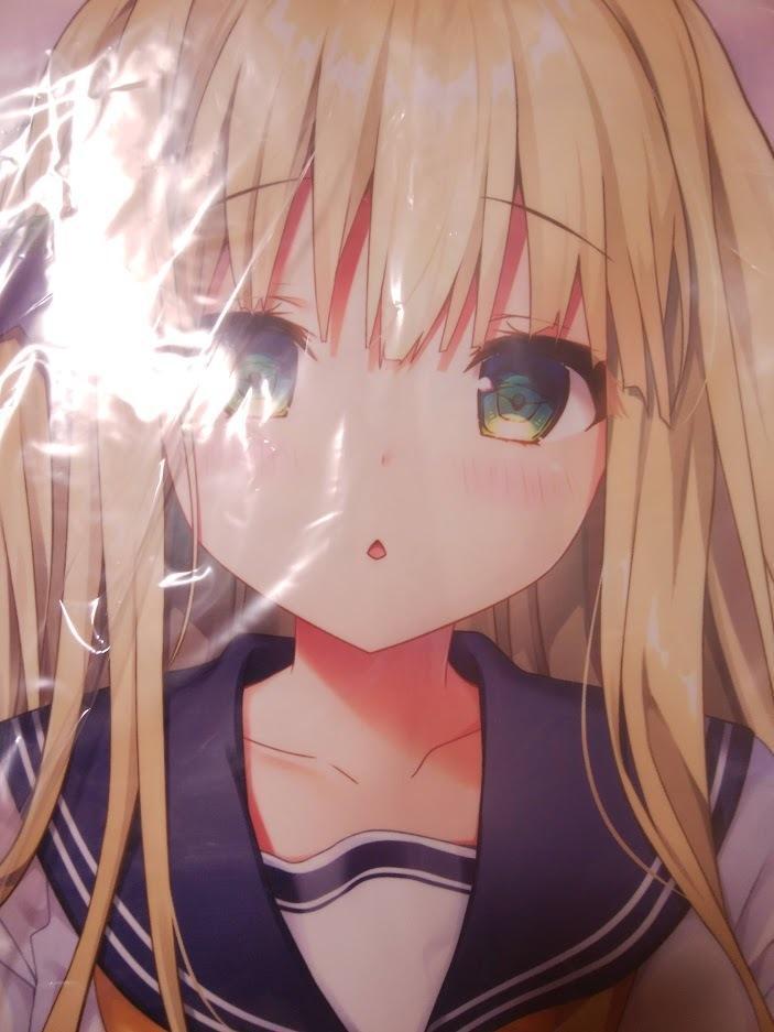 2024-25 秋冬新作 kino きのこのみ りなちゃん 抱き枕カバー 未開封 抱き枕