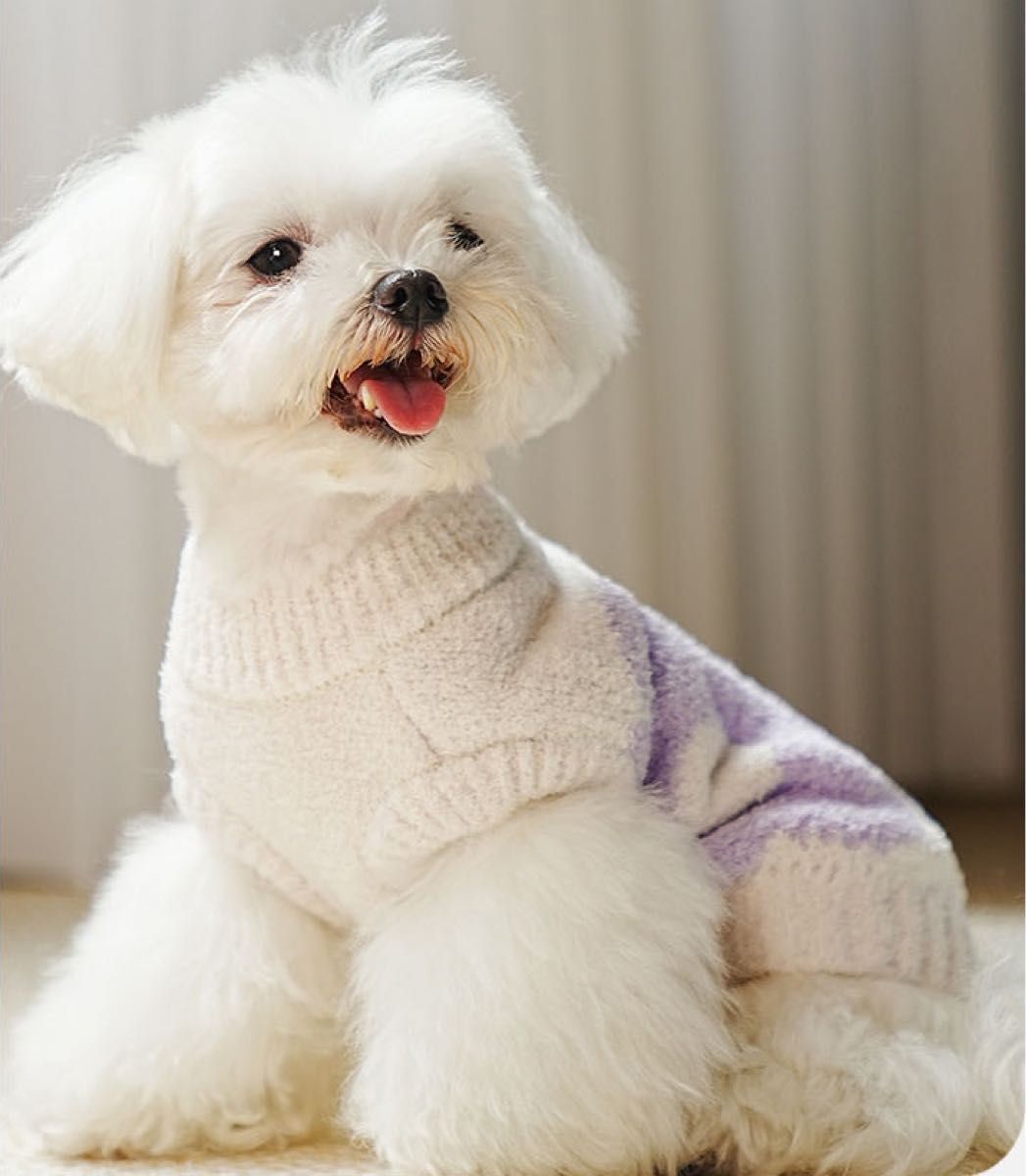 ペットウェア 犬服　ジェラートウェア　ドッグウェア 袖なし ペット服　花柄　白　ホワイト　おしゃれ　かわいい　小型犬用