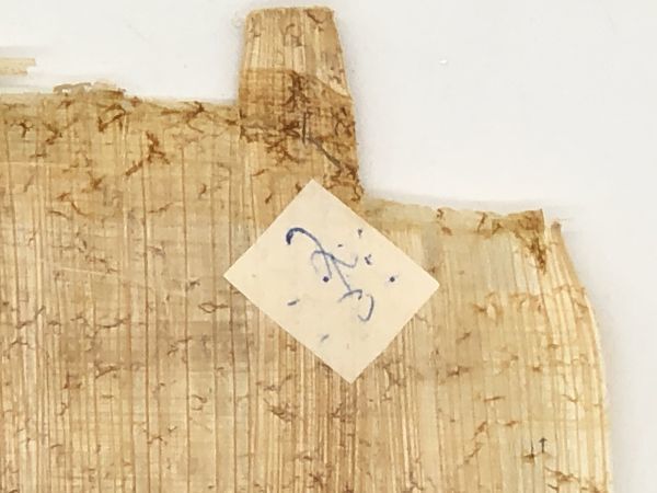 [papirus.] 45×33cmejiptoBES PAPYRUS INSTITUTE made 1970*s~80*s M1028B4