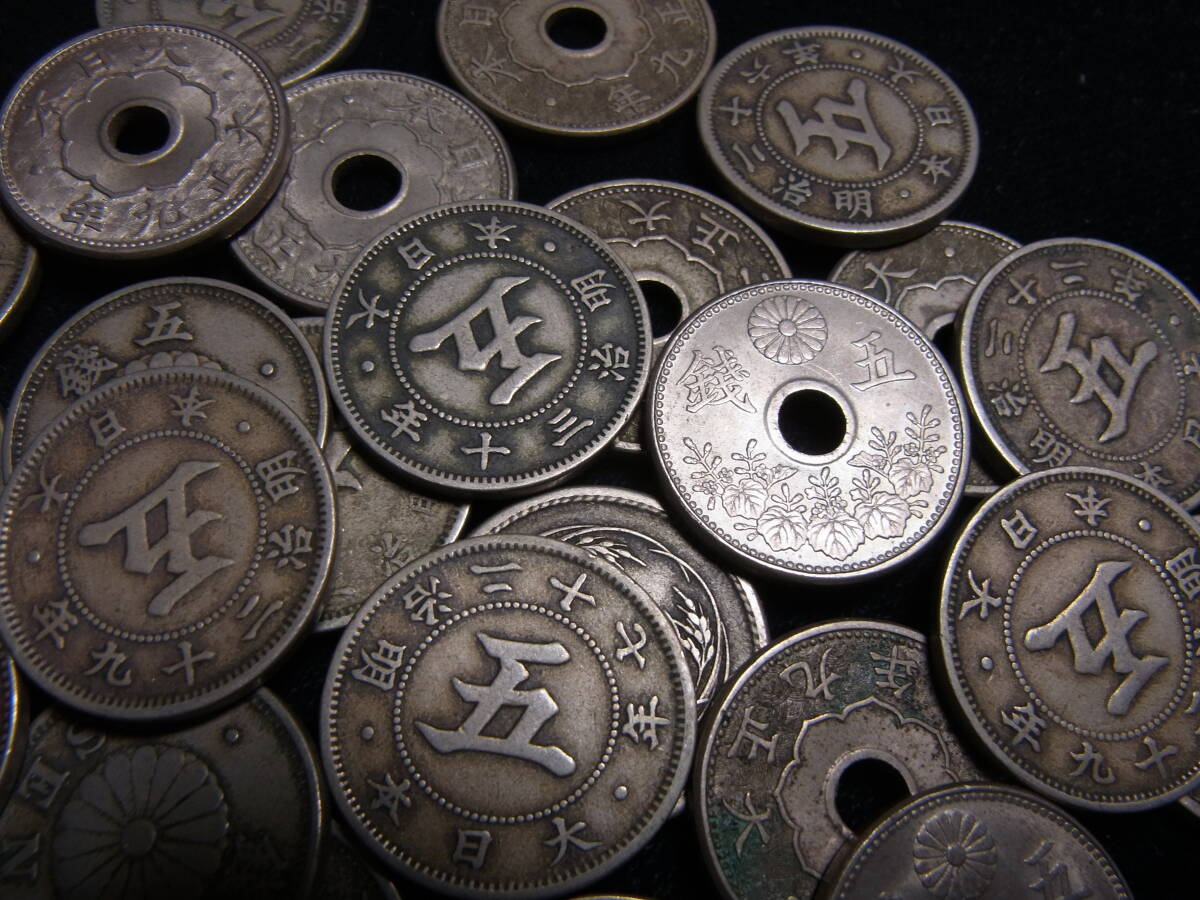 菊・稲・大型5銭白銅貨　いろいろ　たくさん　_画像2