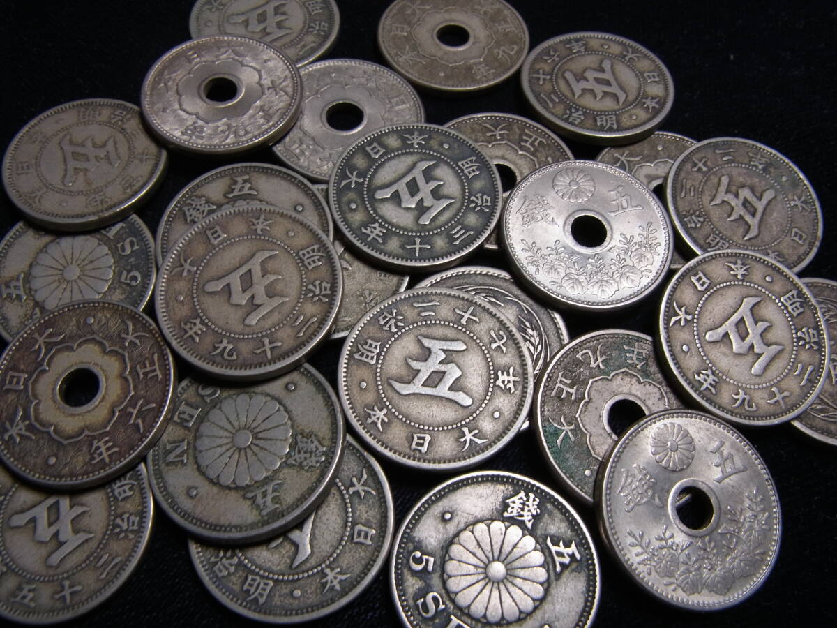 菊・稲・大型5銭白銅貨　いろいろ　たくさん　_画像10