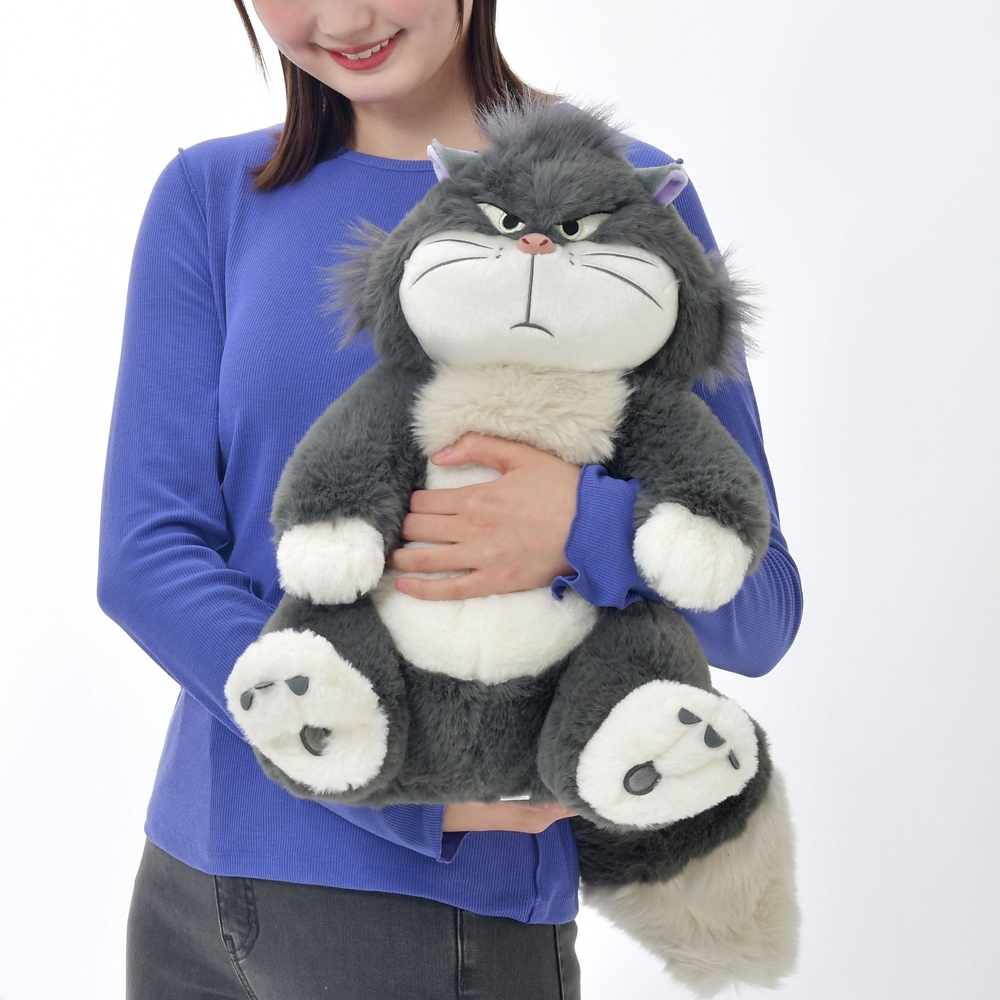 新品・未使用品 ディズニーストア ルシファー ぬいぐるみ DISNEY 新品・未使用品 ディズニーストア ルシファー ぬいぐるみ DISNEY