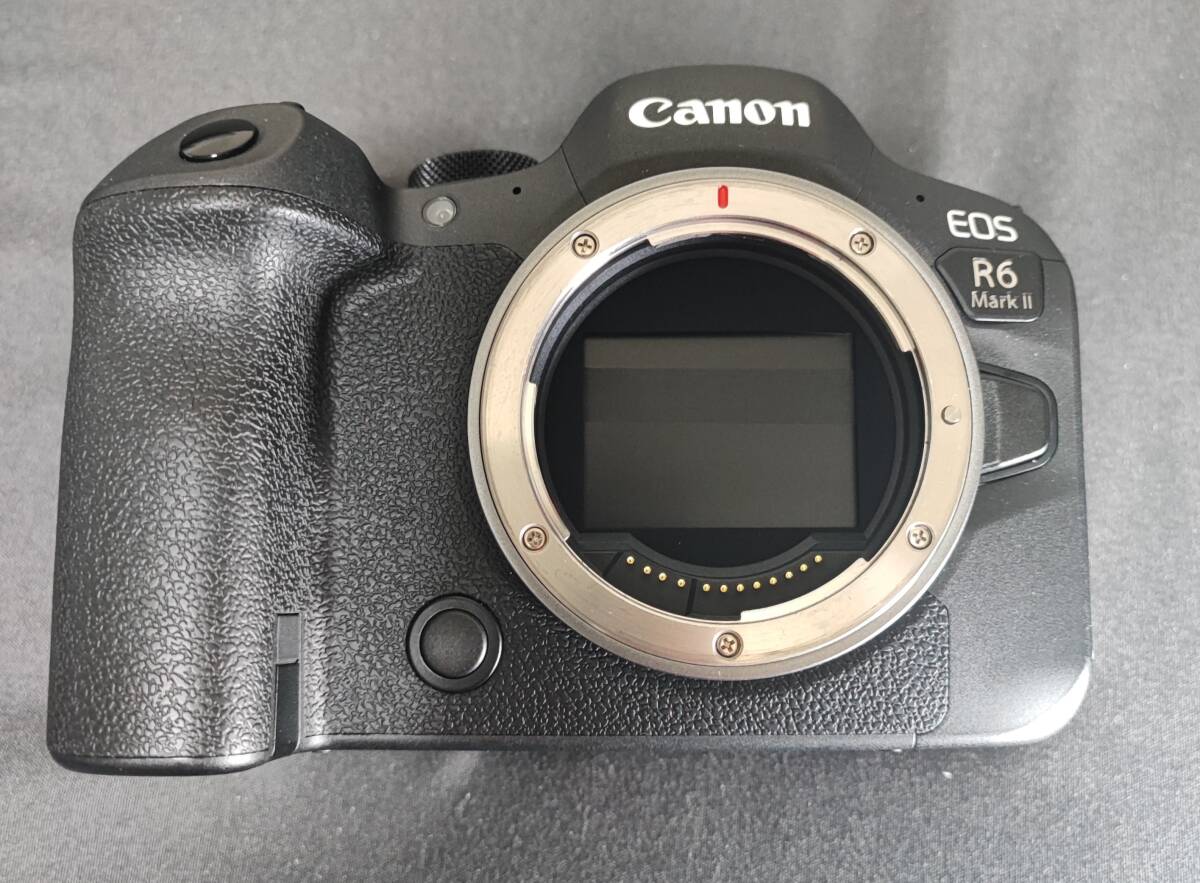 Canon・キャノン R6 Mark ii